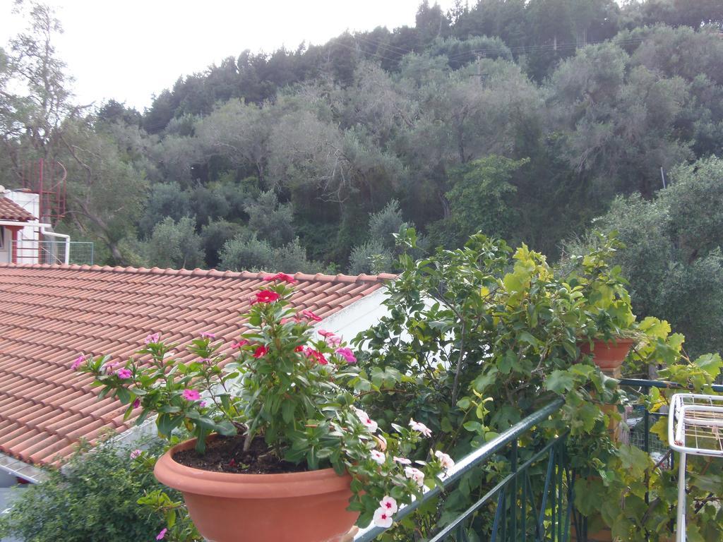 Konstantina Apartment ลักกา ภายนอก รูปภาพ